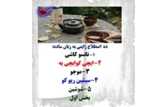 ده  اصطلاح ژاپنی به زبان ساده: