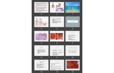 پاورپوینت NON-NEOPLASTIC DISEASE OF THE STOMACH