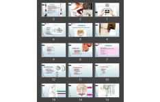 پاورپوینت Cerebellum