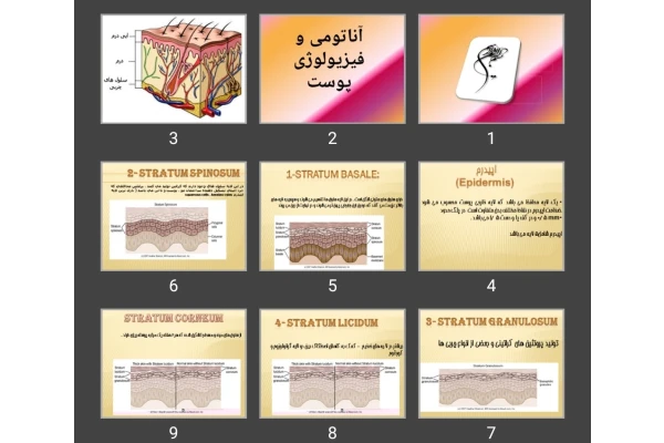 پاورپوینت آناتومی و فیزیولوژی پوست