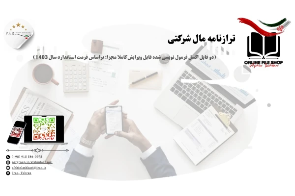 ترازنامه مال شرکتی (دو فایل اکسل فرمول نویسی شده قابل ویرایش کاملا مجزا؛ براساس فرمت استاندارد سال 1403)