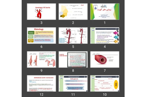پاورپوینت بیماری های آئورت