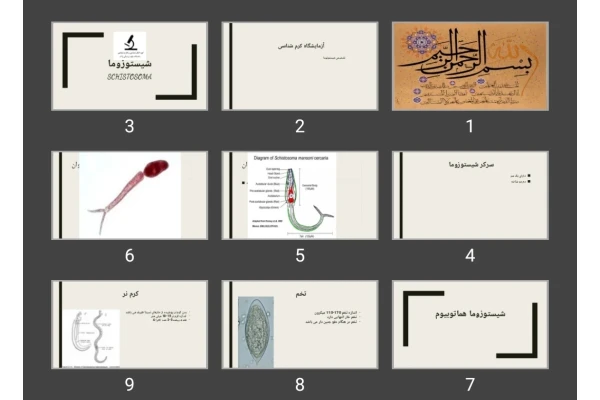 پاورپوینت شیستوزوما
