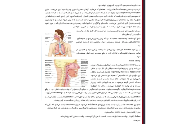 جزوه آناتومی و فیزیولوژی ریه بخش اول