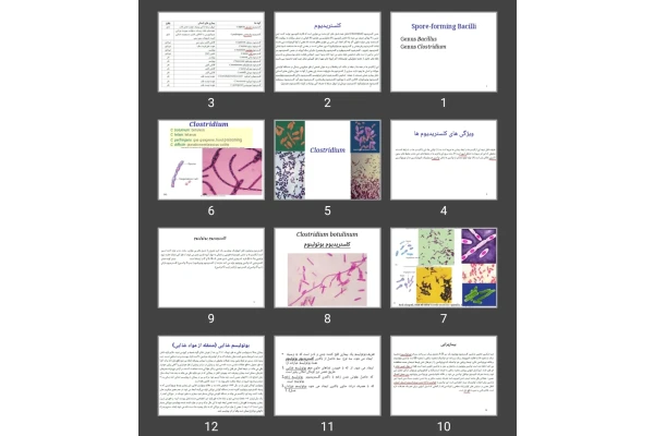 پاورپوینت کلستریدیوم Clostridium