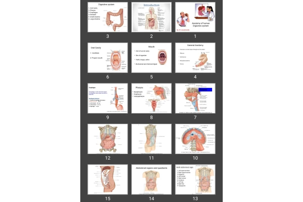 پاورپوینت (سیستم گوارش) Digestive system