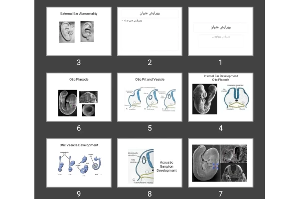پاورپوینت جنین شناسی گوش