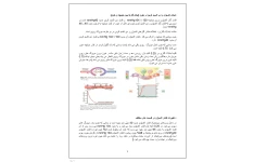 جزوه تبادل اکسیژن و دی اکسید کربن در خون