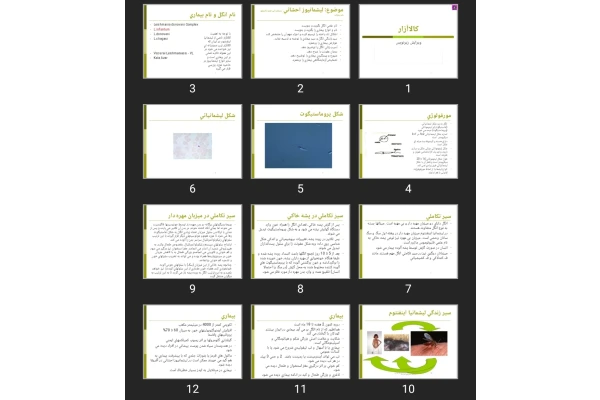 پاورپوینت كالاآزار