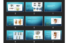 پاورپوینت DIGESTIVE SYSTEM EMBRYOLOGY