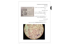 جزوه انگل شناسی عملی ۲