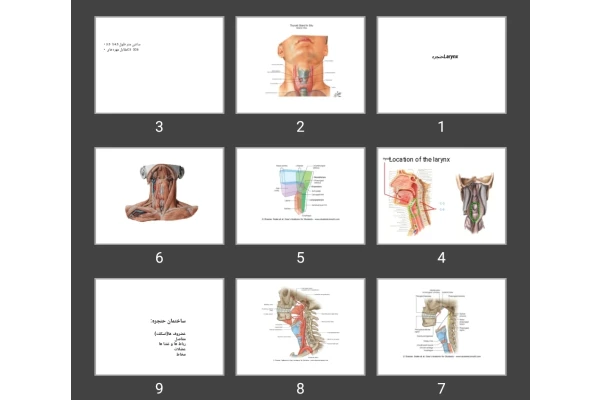 پاورپوینت حنجره Larynx