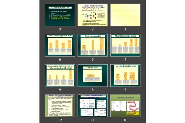 پاورپوینت peptides & proteins
