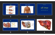 پاورپوینت مبحث کبد