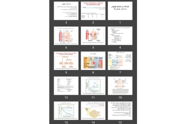 پاورپوینت بازجذب و ترشح توبولی (پردازش توبولی)
