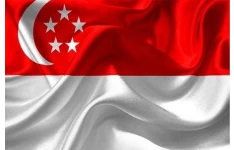 تشریح مواد قانونی متناظر بر ورشکستگی و نحوه وصول مطالبات از اشخاص حقوقی در سنگاپور