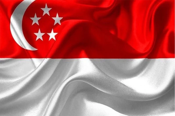 تشریح مواد قانونی متناظر بر ورشکستگی و نحوه وصول مطالبات از اشخاص حقوقی در سنگاپور