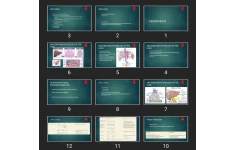 پاورپوینت hepatic metabolism