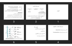 پاورپوینت کلیات اتونوم
