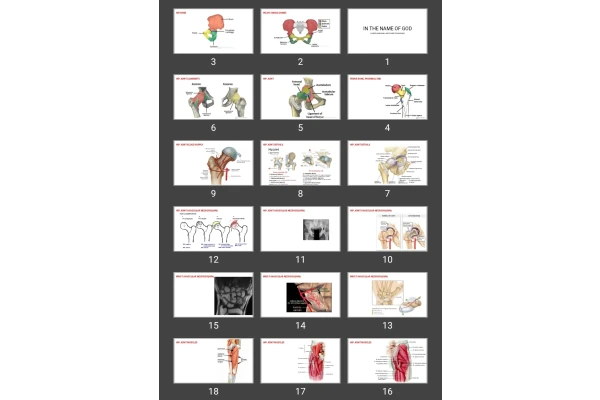 پاورپوینت LOWER LIMB MAIN JOINTS MRI TECHNIQUES