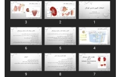 پاورپوینت اختلالات کلیوی تناسلی کودکان