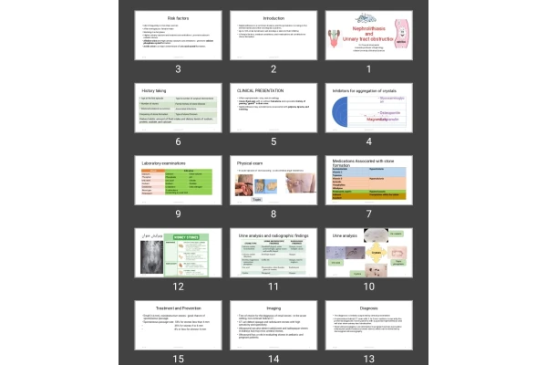 پاورپوینت سنگ Nephrolithiasis and Urinary tract obstruction