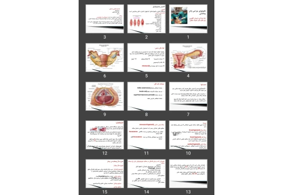 پاورپوینت تکنولوژی جراحی زنان و مامایی