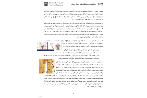 جزوه ایمنی‌شناسی در اندودانتیکس