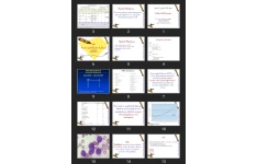 پاورپوینت White Cell Disorders