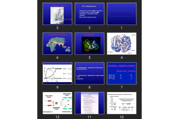پاورپوینت Syndrome Thalassemias