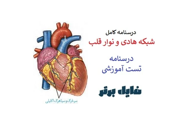 درسنامه کامل شبکه هادی و نوار قلب / درسنامه + تست آموزشی