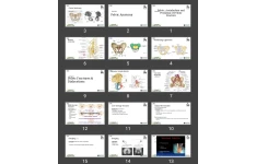 پاورپوینت شکستگی لگن، استابولوم و سر فنور Pelvic, Acetabulum and Proximal of Femur Fracture