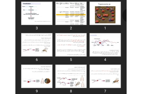 پاورپوینت تریپانوزوما