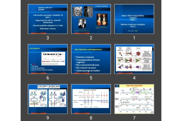 پاورپوینت Major Histocompatibility Complex  (MHC)