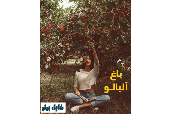 رمان باغ آلبالو