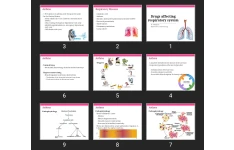 پاورپوینت Drugs affecting respiratory system