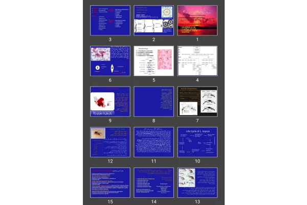 پاورپوینت انگل شناسی Leishmaniasis