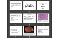 پاورپوینت Disorders of the Spleen and Thymus