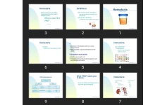 پاورپوینت Hematuria