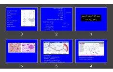 پاورپوینت Nerve tissue