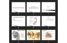 پاورپوینت Upper respiratory tract infections