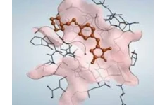 پاورپوینت , کاربرد رایانه در مدلسازی پروتئین ها , 147 اسلاید , pptx