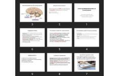پاورپوینت Coma and Related Disorders of Consciousness