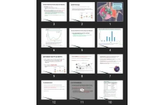 پاورپوینت Influenza infection