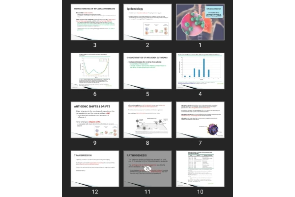 پاورپوینت Influenza infection