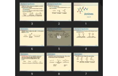 پاورپوینت Amines