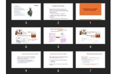 پاورپوینت Pharmacogenetics and individual variation of drug response