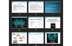 پاورپوینت NonStroidal Anti-Inflammatory Drugs (NSAIDs)