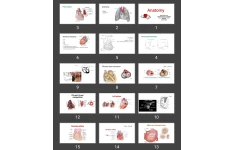 پاورپوینت آناتومی قلب Anatomy Heart