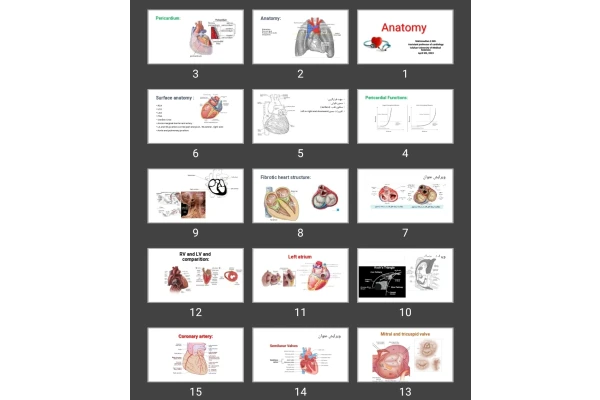 پاورپوینت آناتومی قلب Anatomy Heart